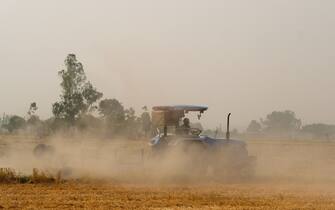 grano india