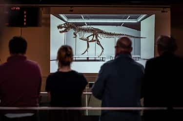 TOPSHOT - A picture of 'Trinity' is seen during sale of the skeleton of the Tyrannosaurus-Rex (T-Rex) by Koller auction house in Zurich, on April 18, 2023. - The T-Rex's skeleton, dating back 67 million years and made up of bones from three dinosaurs excavated between 2008 and 2013 from the Hell Creek and Lance Creek formations in Montana and Wyoming, was sold for 4,8 million Swiss francs ($5,333333 million). (Photo by Fabrice COFFRINI / AFP) (Photo by FABRICE COFFRINI/AFP via Getty Images)