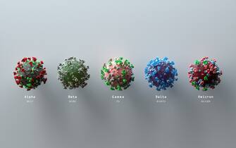 rappresentazione evoluzione virus