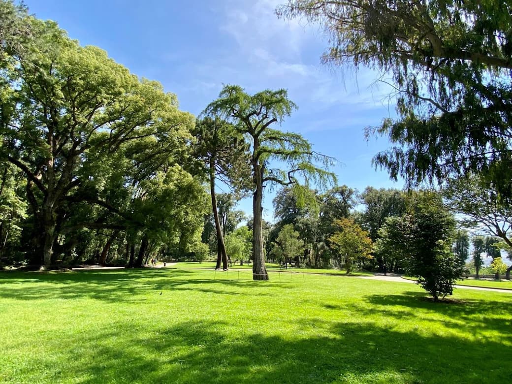 Il Giardino dei Principi nel Real Bosco di Capodimonte. Courtesy Museo e Real Bosco di Capodimonte