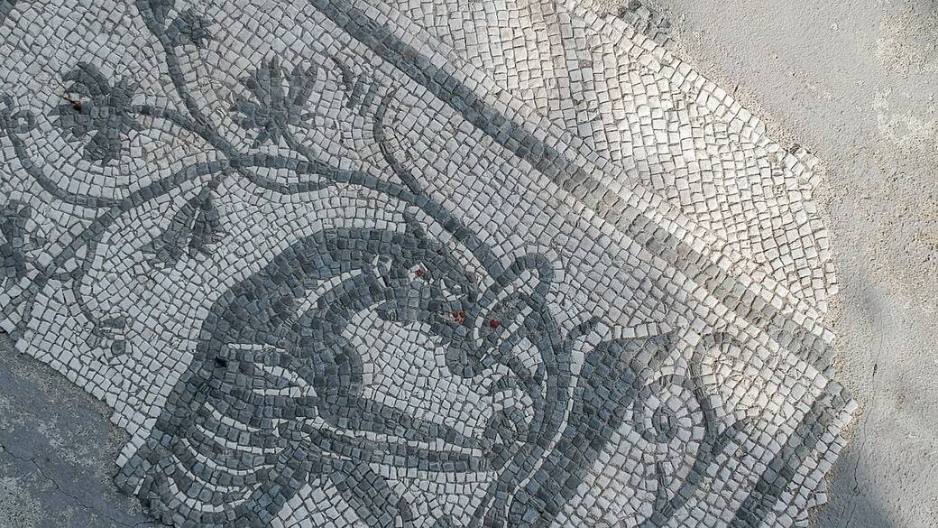 Parco archeologico di Altino, dettaglio dei mosaici pavimentali della Domus della Pantera (area archeologica del Decumano), credits Samir Sayed Abdellattef e Giacomo Vidoni