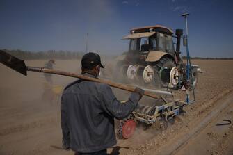 epa09169405 Farmers walk following a planting machine to sow cotton seeds in Changji national agricultural science and technology zone in Changji, western China's Xinjiang Uyghur Autonomous Region during a government organized trip for foreign journalists, Changji, China, 21 April 2021 (issued 30 April 2021). Changji national agricultural science and technology zone, built in 2002 in the area of 135,000 mu (about 90 square kilometres), is planted with cotton. Beginning from 2010, this zone started to grow crops using new technologies, such as agricultural drip irrigation, drones, and Beidou satellite navigation. China has stepped up plans to launch its own version of the under-fire Better Cotton Initiative after the network cut off all ties with Xinjiang due to concerns about the alleged forced labour issue in the region. Located in the northwest of the country close to Central Asia and as the largest province-level division of China and the 8th largest country subdivision in the world, Xinjiang Uyghur Autonomous Region spans over 1.6 million square kilometres and has a population of 25.23 million inhabitants. According to the latest population census, about 46 percent of Xinjiang's population is ethnic Uighur, although not all of them are Muslim, and 40 percent is Han and the rest are Kazakh, Hui and other ethnic groups. Xinjiang suffered harsh years of terrorist attacks, mostly related to Islamist extremism, which began in 1992 and escalated between 2009 and 2014. The regional government refuses to provide data on the total victims caused by the attacks, but it is estimated that about a thousand people died and another 2,000 were injured between 1992 and 2017. The government's crackdown on extremism in the region over the years has curtailed the unrests but it has been mired in controversy in recent years with mounting criticism from the West of alleged human rights abuses. China has denied all allegations of human rights abuses, calling them the 'lie of the cent