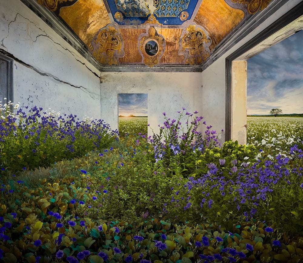 Aldo Salucci, Blue Velvet, 2025, Fotografia digitale su CromaLuxe, ed 1/5, 110 x 110 cm