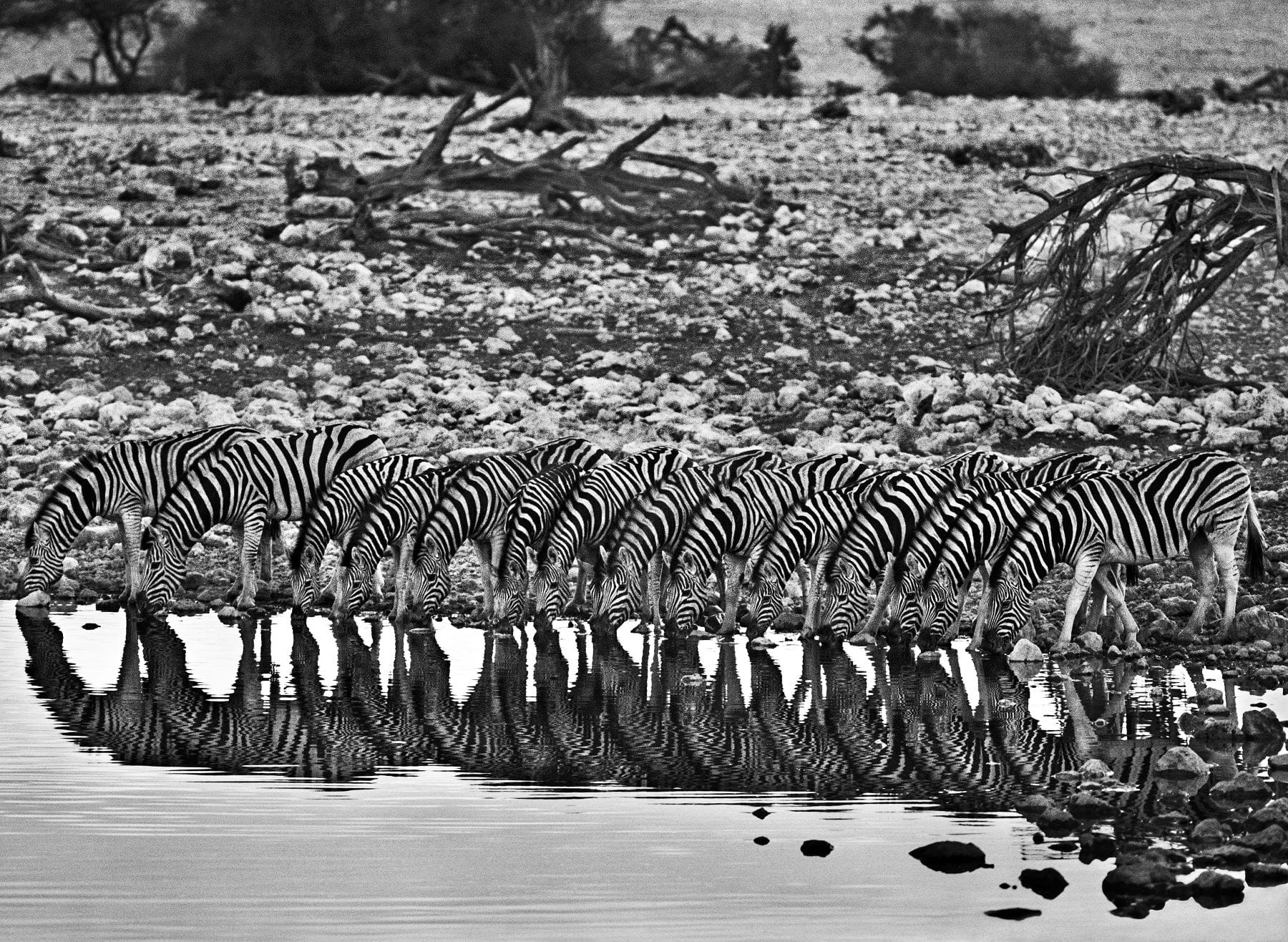 2._Damaraland._Namibia_2005.jpg