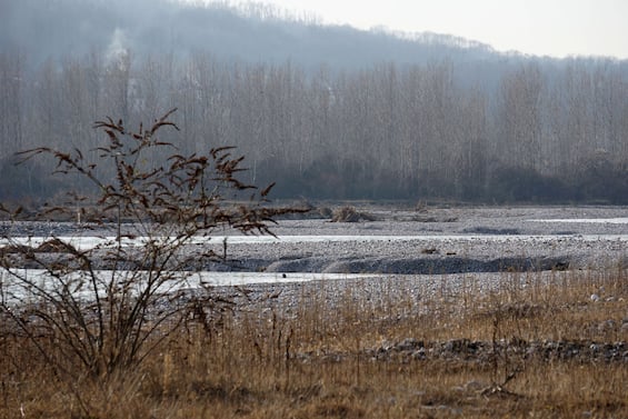 Treviso, due ragazzi dispersi dopo tuffo nel Piave
