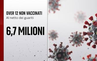 Grafiche coronavirus: gli over 12 non vaccinati