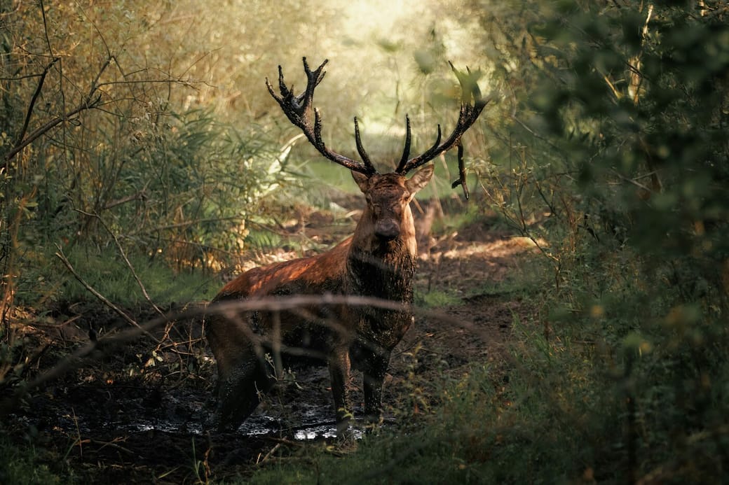 Foto di Matsvei Liatkouski su Unsplash