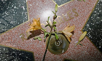 50948432