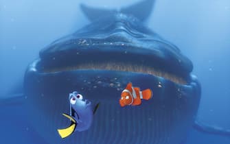 alla ricerca di nemo film