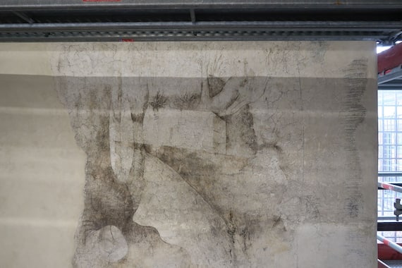 Monocromo di Leonardo da Vinci, Cantiere Sala delle Asse, Castello Sforzesco, Milano, © Ad Artem