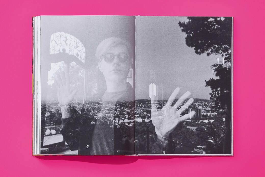 schapiro_andy_warhol_friends_ce_gb_open001_200_201_x_60058_2211071033_id_1408217.jpg