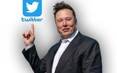 Elon Musk e Twitter (elaborazione)