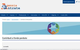 sito agenzia entrate pagina con indicazioni contributi fondo perduto