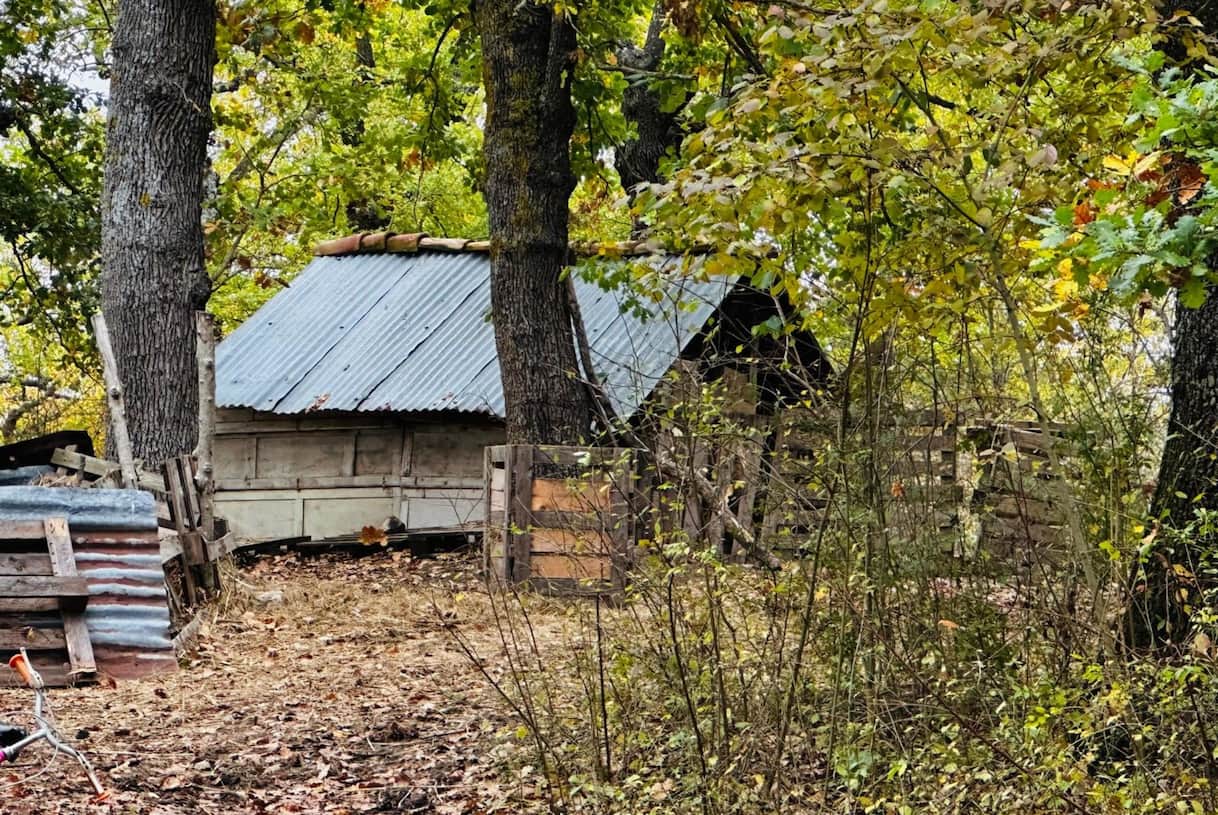 Famiglia nel bosco, i genitori: "Mai rifiutato aiuti, ogni scelta per i nostri bimbi"