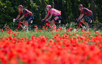 INEOS Grenadiers's British rider Geraint Thomas wearing the overall leader's pink jersey (C) cycles past a poppy field with INEOS Grenadiers's British rider Ben Swift (L) and INEOS Grenadiers's Dutch rider Thymen Arensman (R) during the seventeenth stage of the Giro d'Italia 2023 cycling race, 197 km between Pergine Valsugana and Caorle, near Venice on May 24, 2023. (Photo by Luca Bettini / AFP)
