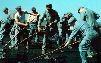 film le ali della libertà The Shawshank Redemption