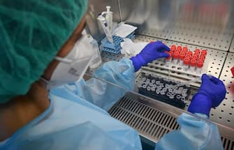 Una dottoressa processa i tamponi test Covid-19 effettuati sui pazienti, nel laboratorio del Policlinico S.Martino. Genova, 26 Maggio 2020 ANSA/LUCA ZENNARO

