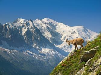 Veduta Monte Bianco
