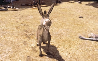 Una scena del film "Shrek", uscito nel 2001