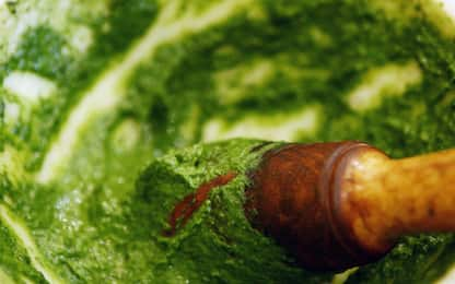 Pesto alla genovese, Wash: “Può esser fatto anche senza sale”