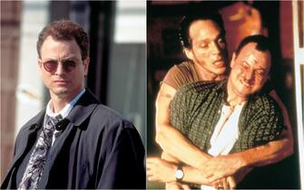 gary sinise film