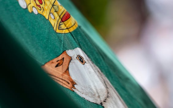 Siena, Palio di Provenzano 2025: vince la contrada dell’Oca