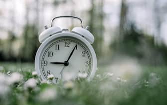 White alarm clock in grass with daisy flowers. Spring season change and time concept