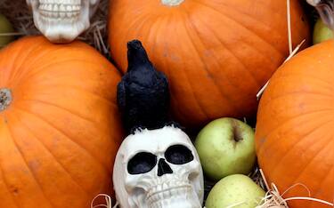 epaselect epa12482391 Pumpkins and Halloween props are displayed during the annual West Side Halloween Festival near Lake Mill Island in Bucharest, Romania, 25 October 2025. The West Side Hallo Fest, Romania
