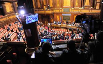 senato