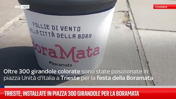 trieste installate in piazza 300 girandole per la boramata