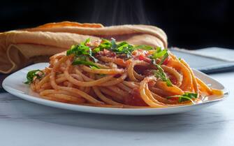 Authentic Italian bucatini all'amatriciana made with san marzano tomatoes and garnished with fresh chopped basil and grated pecorino romano cheese