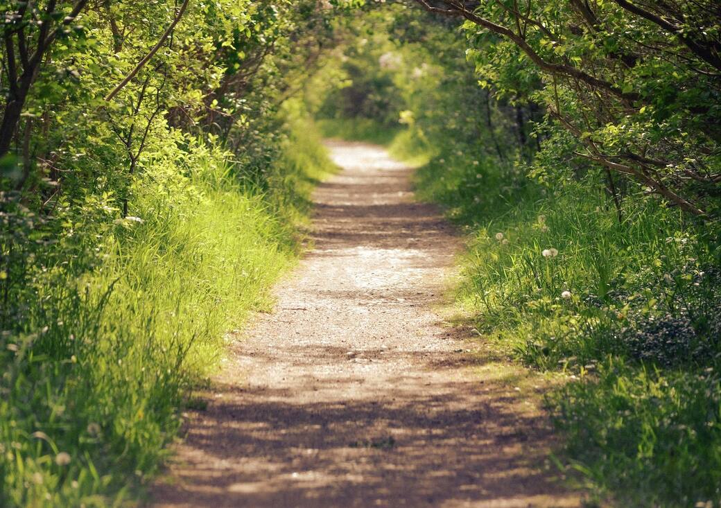Foto di Megan Lee su Unsplash