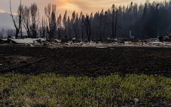 GREENVILLE, CA - AUGUST 08:  New grass begins to grow only days after the Dixie Fire burned the town on August 8, 2021 in GREENVILLE, California. On July 5, 2021 the Dixie Fire swept through Greenville, California destroying homes, historic buildings and forcing hundreds to evacuate. (Photo by Maranie R. Staab/Getty Images)