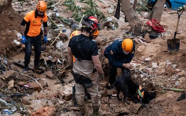 Searching for victims in an area affected by the DANA, on November 3, 2024, in Paiporta, Valencia, Valencian Community (Spain). The Generalitat Valenciana has decided to limit today the transit of people in the municipalities most affected by the DANA, which last October 29th devastated the province of Valencia and has already left a death toll of more than 210. In addition, an orange alert level has been decreed for rainfall of up to 150 liters per square meter in these areas. Matias Chiofalo /Europa Press/ABACAPRESS.COM