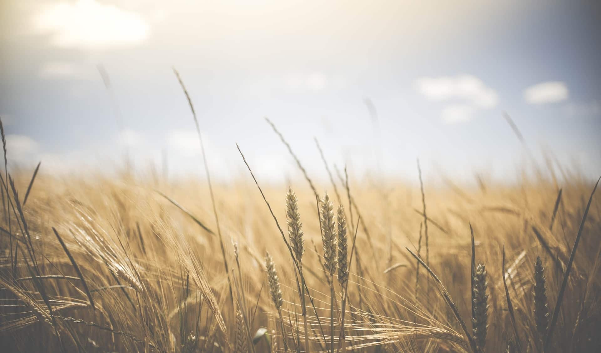 Photo_by_Glenn_Carstens-Peters_on_Unsplash.jpg