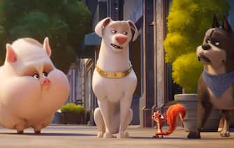 DC League of Super Pets