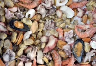 Mixed of frozen shelled seafood in a shelf of a fish market. Food background