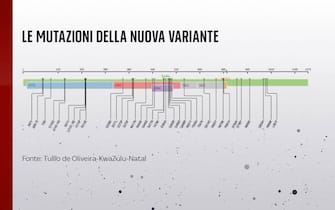 Grafiche coronavirus: Le mutazioni della nuova variante sudafricana