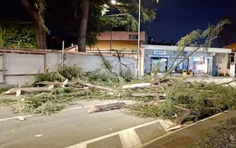 Alberi caduti nel pinerolese. Alcuni danni provocati dal vento forte in Piemonte, nell'area della provincia di Torino, il 22 dicembre 2023 ANSA/METEO PIEMONTE