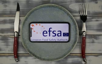 Viersen, Germany - June 9.. 2021: View on mobile phone screen on plate with logo lettering of european food safety association (efsa, focus on center