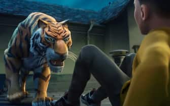 tigre