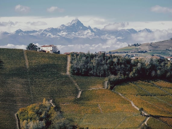 Lisa van Vliet su Unsplash