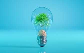 Tree Inside a Light Bulb. Green Energy Concept.