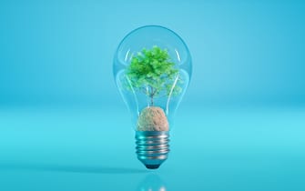 Tree Inside a Light Bulb. Green Energy Concept.