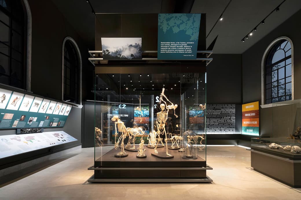 MuseoStoriaNaturaleMilano_Sala_dell_Uomo_credito_fotografico_Andrea_Martiradonna_Courtesy_Migliore_Servetto_19_11zon.jpg