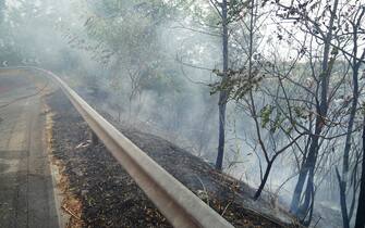 Incendi a Fuscaldo, in provincia di Cosenza