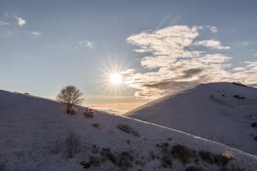Subasio mountain (Umbria, Italy) in winter, covered by snow, with plants and sun