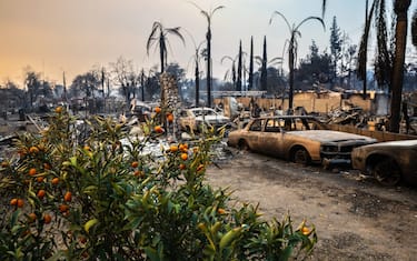 La stagione degli incendi è sempre più lunga