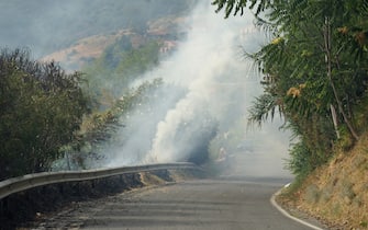 Incendi a Fuscaldo, in provincia di Cosenza