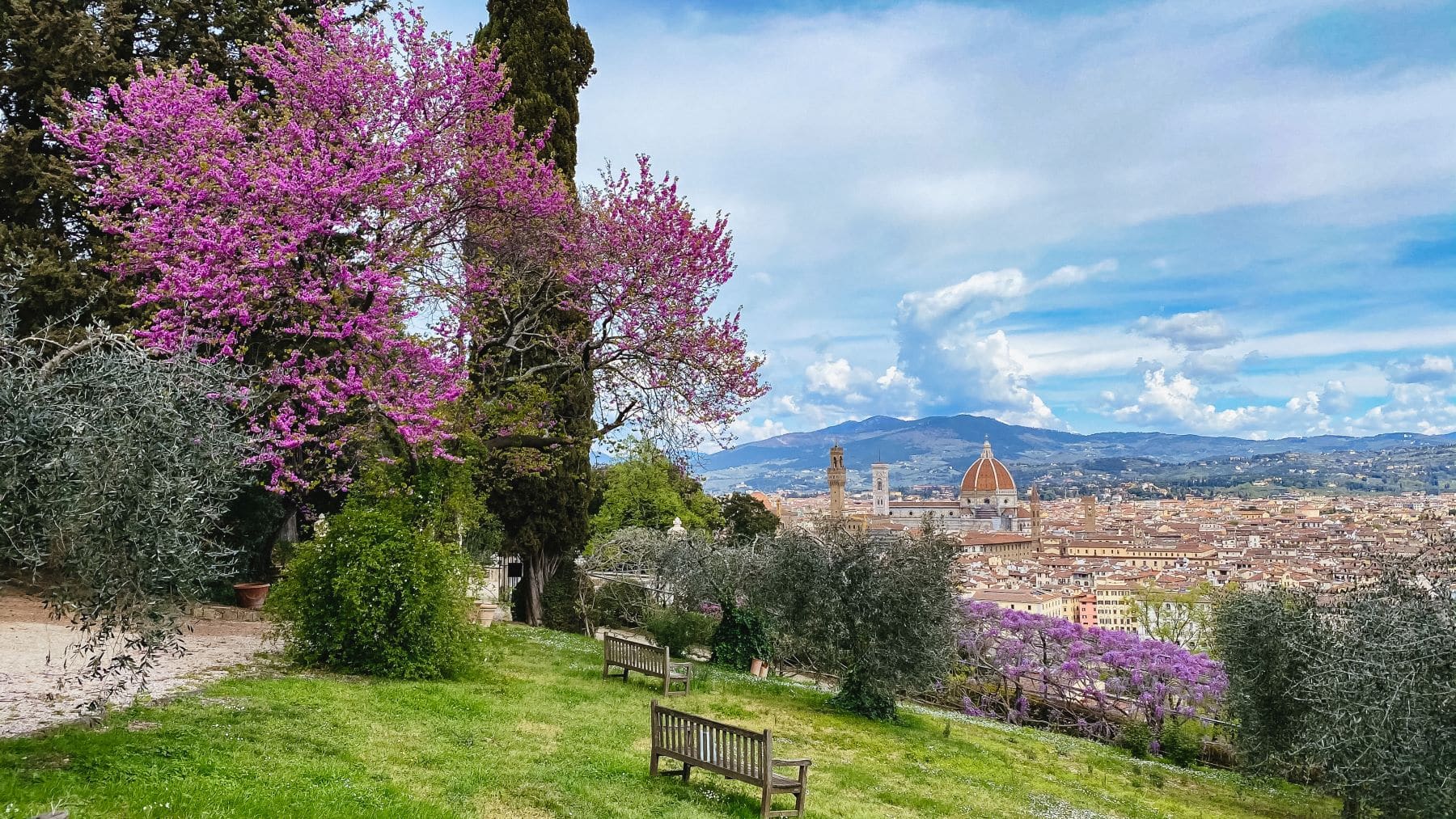 fcrf-villa-bardini-fioritura-2021-ph-stefano-casati-31.jpeg